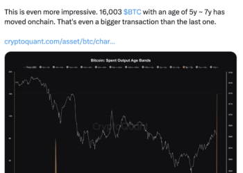 Bitcoin worth $1 billion on the move: What should you do now?